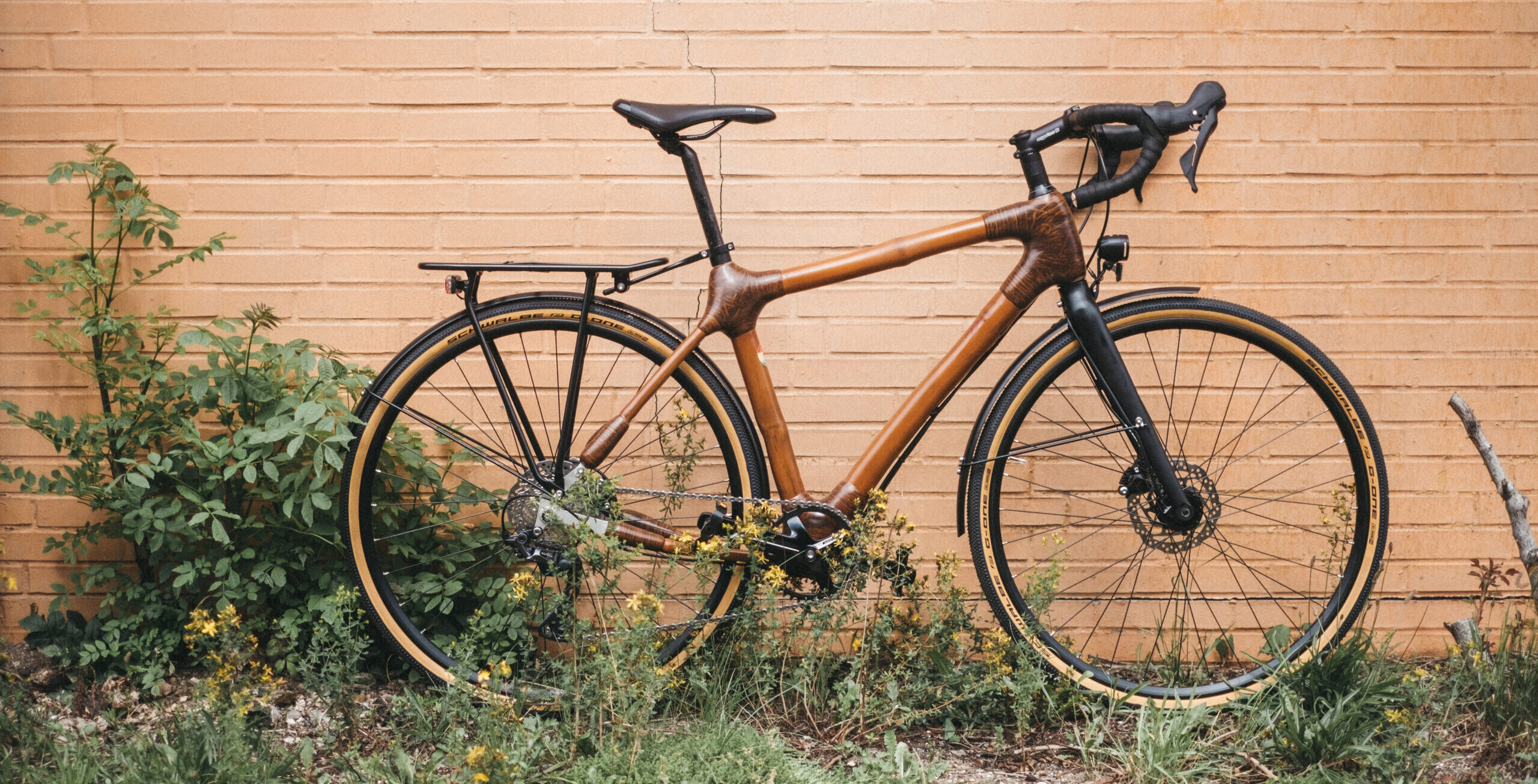 Electric best sale bamboo bike